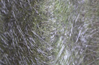 Beckwith fibreglass roof work